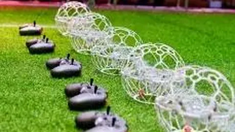 欧洲大陆在这场战争中空手而归，面临全面损失风险