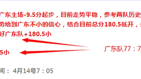 CBA专栏：专家推荐大乐透期号胜负总分解析